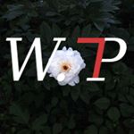 Profile Picture of Blake Wunderlich (@wunderlich_productions) on Instagram
