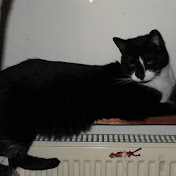 Profile Picture of Lea Bilcik (@leabilcik5978) on Youtube