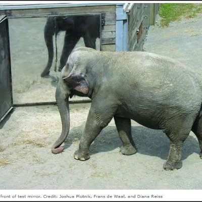 Profile Picture of Steven J. Venturino (@sjventurino) on Twitter