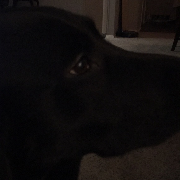 Profile Picture of David Brennan (@dnriding) on Poshmark