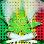 Profile Picture of jeremy lejeune (@lejeune_jeremy) on Instagram