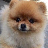 Profile Picture of Seth Schroeder (@seth-schroeder-12) on Quora