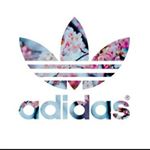 Profile Picture of nate purcell (@nate_p_spam) on Instagram