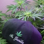 Profile Picture of El Chapin Agricultor (@mrguerilla_grower) on Instagram