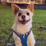 Profile Picture of kahlua_milk_0219 (@kahlua_milk_0219) on Instagram