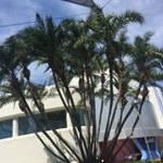 Profile Picture of Jeremiah Willis (@jeremiahwillis7231) on Instagram