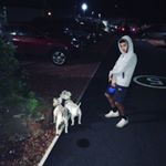 haroldwakeyspam - Instagram Profile Picture of haroldwakeyspam (@haroldwakeyspam) on Instagram