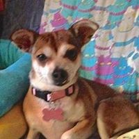 Profile Picture of Aaron Payne (@aaron-payne-36) on Quora