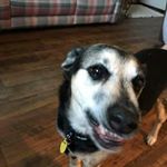 Profile Picture of Lance Lamb (@sminey1) on Instagram