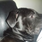 Profile Picture of Dani Frauenfelder (@dani.frauenfelder.7) on Facebook