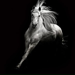 Profile Picture of Abduboriy Abdurasulov (@abduboriyabdurasulov2001) on Flickr