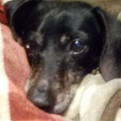 Profile Picture of Kendall Squires (@kendallsquires5485) on Youtube