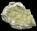 Profile Picture of Pectoliteon Wikipedia