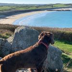 Profile Picture of Karen Meagher (@meagher101) on Instagram