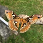 Profile Picture of Brad Mckean (@brad.mckean.160374) on Facebook