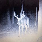 Profile Picture of Ryan Keffer (@keffer.ryan) on Instagram