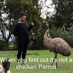 Profile Picture of Chris Pruha (@chrispruha) on Instagram