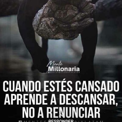 Profile Picture of Nestor Carrera (@NestorPaulCarre) on Twitter