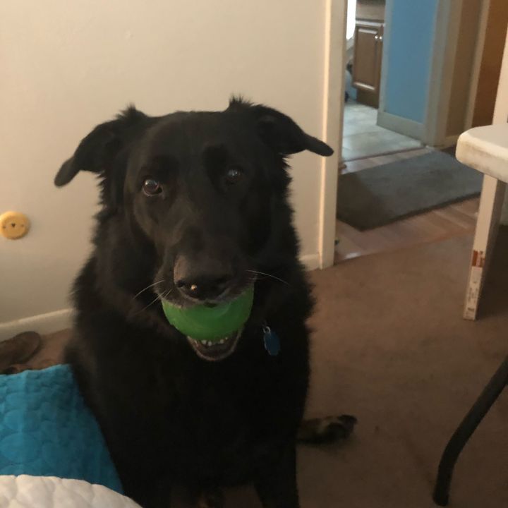 Profile Picture of Donna Brett (@@thedreadedhr) on Tiktok