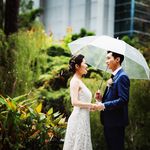 Profile Picture of Shirley Limin Sun (@shirleyliminsun) on Instagram