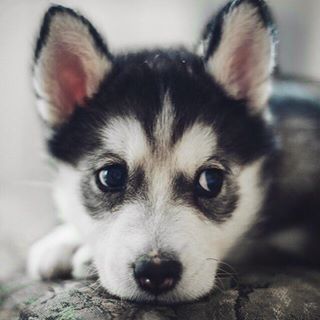 Profile Picture of Lucas Curry (@Lucas-Curry) on Facebook