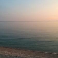 Profile Picture of Steven Wiggett (@sportingmad77) on Twitter