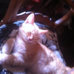 Profile Picture of Daniel Levacher (@Daniel-Levacher) on Facebook