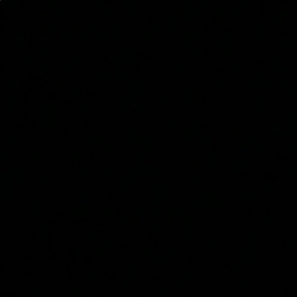 Profile Picture of Sara Attieh (@saraattieh12) on Poshmark