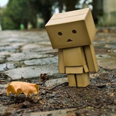 Profile Picture of Daniel Kloster (@DanielKloster2) on Twitter