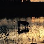 Profile Picture of Jerome Winter (@winterjerome_phonephotography) on Instagram