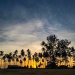 Profile Picture of Athirah (@jeejeebhoy_) on Instagram