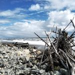Profile Picture of Dany Leduc (@dany.leduc.92) on Instagram