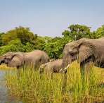 Profile Picture of Craig Little (@Craig-Little) on Facebook