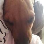 Profile Picture of Kylee Nichols (@kyleenichols5) on Instagram