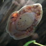 Profile Picture of Andrew Cowley (@andrew.cowley) on Instagram