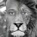 Profile Picture of Vincent Callender (@teamcallender6) on Pinterest