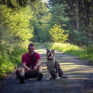 Profile Picture of David Donat (@David-Donat) on Facebook