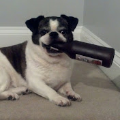 Profile Picture of Matt McElroy (@mattmcelroy486) on Youtube