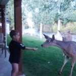 Profile Picture of Renae Ramsey Selvage (@toothfairynae) on Instagram