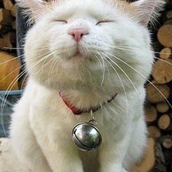 Profile Picture of Jianglei Qin (@joqin) on Poshmark