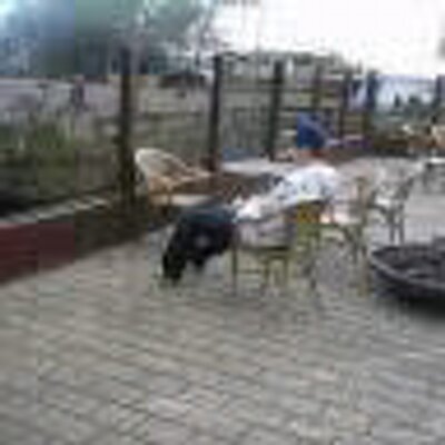 Profile Picture of Daniël Johanns (@danieltjah) on Twitter