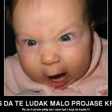 Profile Picture of Boris Stevanovic (@StevanovicBoris) on Twitter