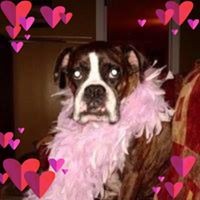Profile Picture of Stephanie Mulkey-zakrzewski (@stephanie-mulkey-zakrzewski) on Quora