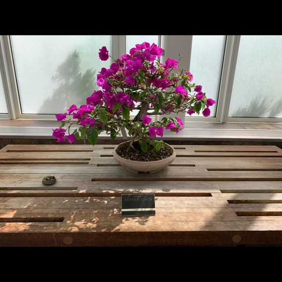 Profile Picture of Debra Weger (@wegerdebra) on Poshmark