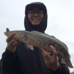 Profile Picture of Curtis Lam 🇰🇭 | 🐉 (@fishingwithcurtis) on Instagram