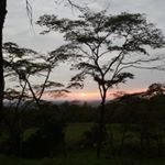 Profile Picture of Yeni Gonzalez (@yeni.gonzalez.7547) on Instagram