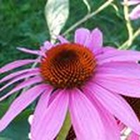 Profile Picture of Mandy Moyers (@mandy-moyers) on Quora