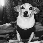 Profile Picture of Toby Eugine Granados (@toby_joby) on Instagram