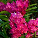 Profile Picture of Eric Niongre (@niongreeric) on Instagram