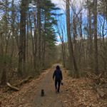 Profile Picture of Michael Susman (@msusman1) on Instagram